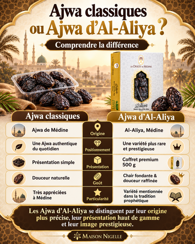 Dattes Ajwa d’Al-Aliya de Médine – Coffret 500 g